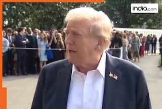 'It looks like we have a deal on...': Donald Trump's big announcement on Gaza war, says hostages could soon be...