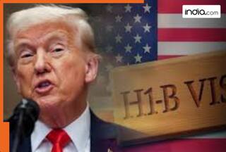 Top 10 nations with highest H-1B visa holders: India stands at..., Pakistan at...