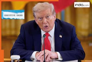 Is domestic terrorism affecting the US? Know what Trump says about Antifa, real data shows THESE figures