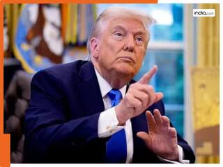 Donald Trump’s BIG announcement over TikTok deal with China, says, ‘Lachlan Murdoch, Michael Dell, Larry Ellison will be involved in…