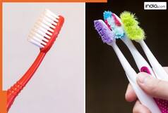 पुराना टूथब्रश बन सकता है दांतों का दुश्मन! Dentist से जानें, कितने दिन में बदलना चाहिए टूथब्रश?