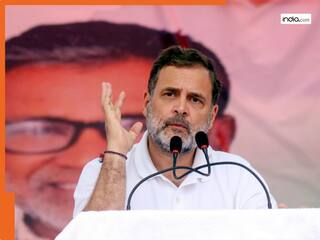 राहुल गांधी की शिकायत लेकर चुनाव आयोग पहुंची BJP, प्रचार पर रोक लगाने की मांग...जानिए क्या है पूरा मामला?