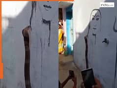 किंग कोबरा ने खुद बनाई महादेव शिव की तस्वीर, कैमरे में कैद हुआ अद्भुत नजारा