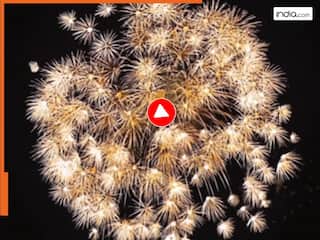 10 लाख का पटाखा लेकर घर से निकला शख्स, जब फोड़ा तो पूरा शहर भौचक्का रह गया | देखें VIDEO