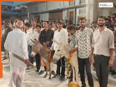 OMG! यहां गधों की पूजा क्यों करते हैं लोग? वजह जानकर यकीन नहीं कर पाएंगे