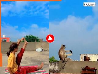 Bandar Ka Video: लड़की को देखकर लंगूर भी योगा करने लगा, आखिर में जो दिखा हंसी नहीं रोक पाएंगे