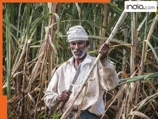 गन्ना किसानों के लिए बड़ी खुशखबरी! उत्तर प्रदेश सरकार ने बढ़ाया इतने रुपये प्रति क्विंटल दाम, अब मिलेगी ज्यादा कमाई