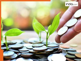 स्टॉक्स, म्यूचुअल फंड या गोल्ड... 10 लाख लगाया तो कौन देगा ज्यादा रिटर्न? किसमें रिस्क रहेगा कम, जानें अपने काम की बात