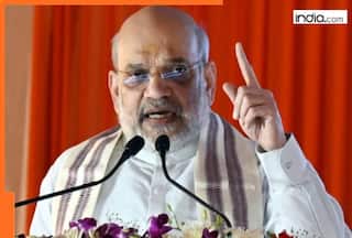 'Detect, delete and...': Amit Shah backs Bihar SIR, slams Congress for 'denying' infiltration issue due to..., says voting rights should be...