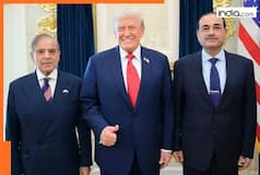 'Can solve it very quickly...': Will Trump broker peace between Pakistan and Taliban? US President says 'great people' Munir and Shehbaz can...