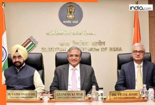 Bihar polls: Why EC reactivated its intelligence panel after six years? Poll body aims to curb...