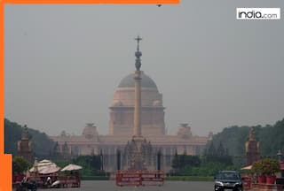 Delhi air quality nosedives on Diwali; 34 of 38 stations in 'red zone, average AQI dips to...