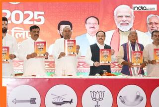 Bihar Election: NDA manifesto promises 1 crore jobs, free healthcare, education...; check key points