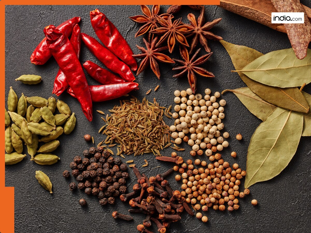 आखिर कैसे चला दुनियाभर में भारतीय मसालों का जादू? अगर ये ना होते तो बिरयानी से लेकर मलाई कोफता तक का स्वाद लगता फीका