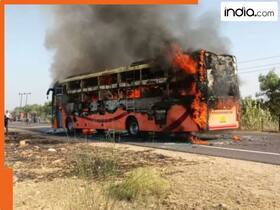 india.com top news