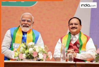 Bihar Assembly Election: How is BJP planning to cross 80 seats? Prashant Kishore's allegations; everything you need to know