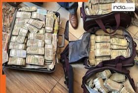 india.com top news