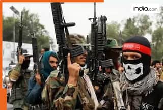 Pulwama-like attack in Pakistan? Security forces say TTP terrorists...