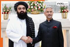 Taliban ban entry of female journalists in Delhi press conference, furious Congress asks, 'Who are they to...?'