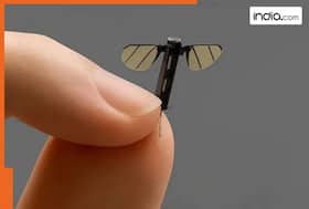 india.com top news