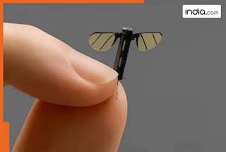 World's most dangerous weapon is also the smallest; It can defeat big armies, it is...