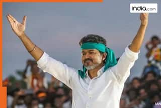 Will actor Vijay be arrested in Karur stampede case? What does Tamil Nadu government say?