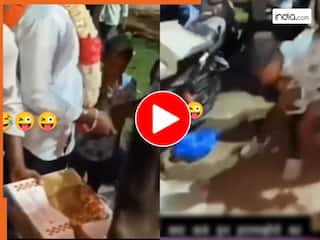 Prank Video: बर्थडे केक की जगह किंग कोबरा ले आए दोस्त, जैसे ही खोला मच गई भगदड़