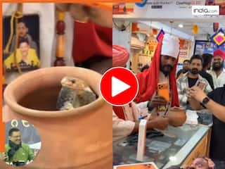 VIDEO: इंसान छोड़ो iPhone 17 खरीदने पहुंचा कोबरा, वीडियो देखकर होश ना उड़ जाएं तब कहना