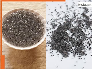 डाइट में शामिल करें सब्जा के बीज! इन 5 परेशानियों से मिलेगा हमेशा के लिए छुटकारा