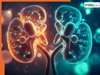 इन 5 आदतों की वजह से खराब होने लगती है किडनी! 1 बूंद पानी के लिए तरस जाता है आदमी