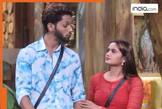 Bigg Boss 19: Not Baseer Ali, Neelam Giri, Ashnoor Kaur, this housemate gets evicted from the house, name is...