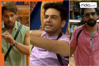 Bigg Boss 19: Not Baseer Ali, Amaal Mallik, Gaurav Khanna, this housemate becomes most popular contestant of this season, he is...