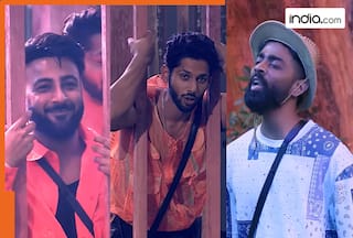 Bigg Boss 19: Tension sparks between Shehbaz Badesha, Pranit More and Baseer Ali due to...