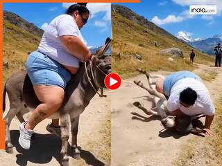 गधे की सवारी के लिए अड़ गई महिला, जब बैठी तो बेहोश हो गया बेचारा । देखिए Viral Video