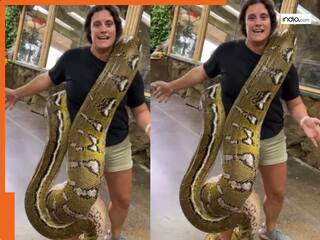 Viral Video: विशालकाय अजगर को कंधे पर रख फोटो क्लिक करवाने लगी महिला, वीडियो देख लोग बोले ये लड़की नहीं नाग कन्या है | देखें वीडियो