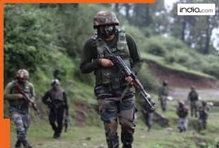 Pakistan violates ceasefire along LoC in J&K, opens fire on Indian Army posts in Lipa valley