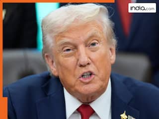 Good news for Indian exporters of mangoes, spices, tea, Trump drops tariffs on key food imports - THESE items will no longer face extra taxes