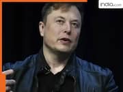 'I will never commit suicide': Elon Musk's shocker