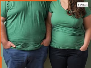 मोबाइल में पत्नी का नाम 'मोटी' लिखने पर तलाक तक पहुंचा मामला, कोर्ट ने सुनाया ऐसा फैसला चौंक गए लोग