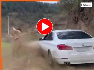 Fight Ka Video: कार चालक ने महिला पर उछाला कीचड़, दीदी ने लिया ऐसा तगड़ा बदला देखकर हिल गए लोग | देखें वीडियो