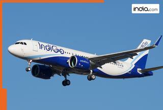 1300 flights cancelled in 1 month... technical problem, crew shortage or some other reason, what big crisis is IndiGo airline in?