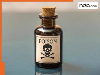 india.com top news