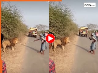 Sher Ka Video: शेर को डंडे से पीटने पहुंच गईं दादी, फिर जो दिखा यकीन ना करेंगे | देखें वीडियो