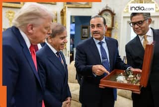 Pakistan ships first batch of rare earth minerals to US, offers access to Arabian Sea port to facilitate shipment