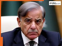 Afghanistan teaches Pakistan a lesson, price of THIS vegetable becomes more expensive than Chicken, Shehbaz government to...