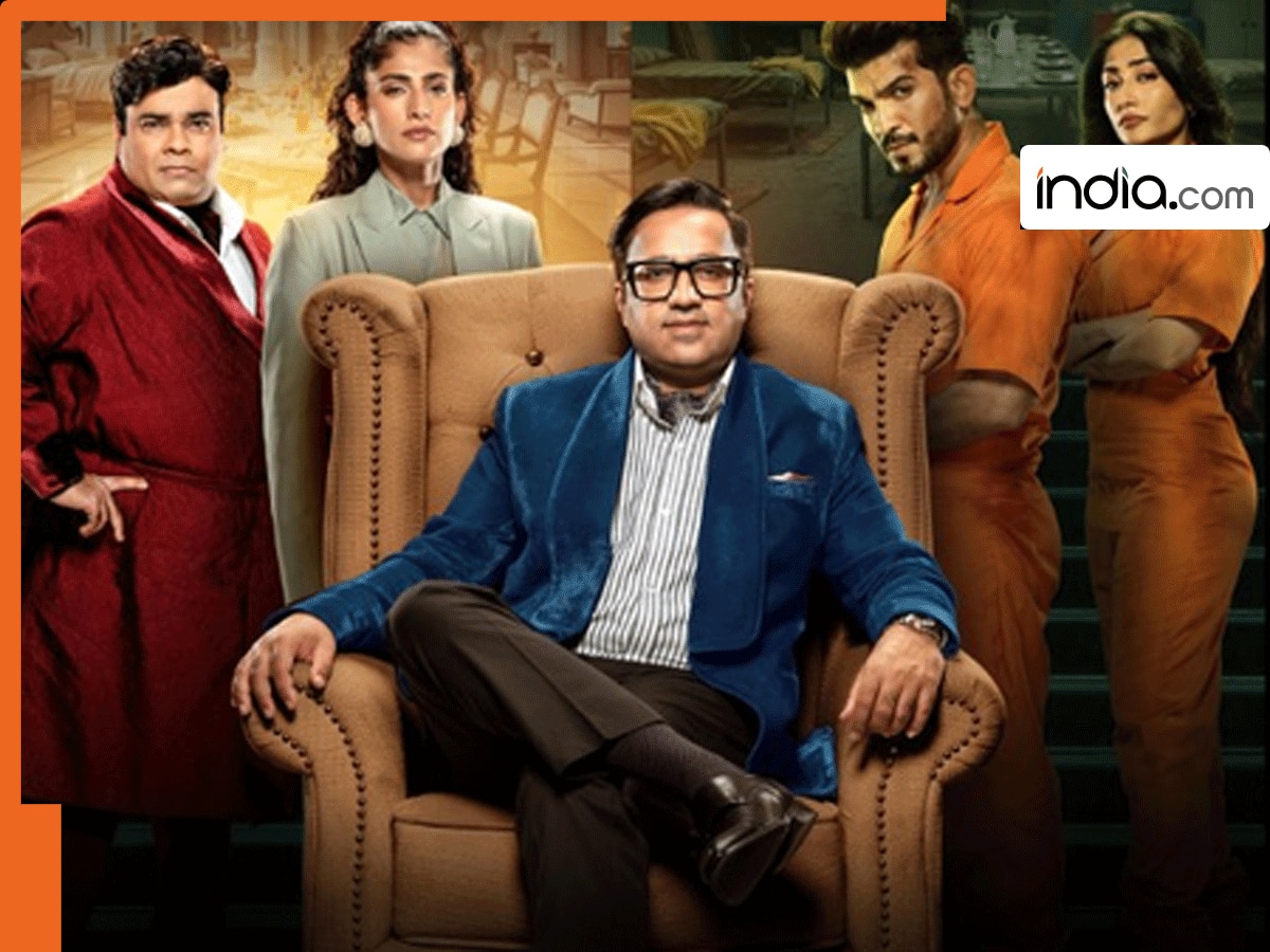 कोई डॉक्टर, तो कोई 12वीं पास! जानें Rise And Fall के कंटेस्टेंट्स की क्लासरूम से स्टेज तक की जर्नी