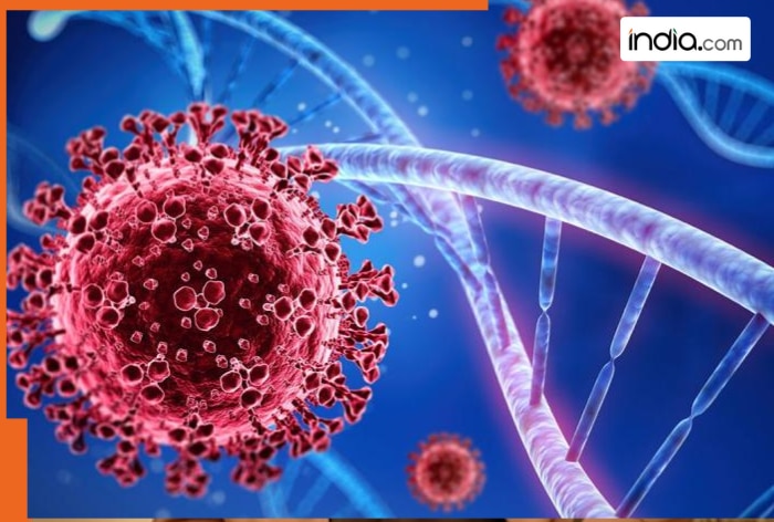 New COVID variant 'Stratus' spreads in US, UK: What are the symptoms and precautions?