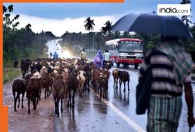 india.com top news