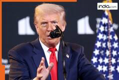 After Trump's Sunday ultimatum, Hamas makes BIG statement on 20-point Gaza peace plan, says, 'Negotiations..., Gaza Strip to...'