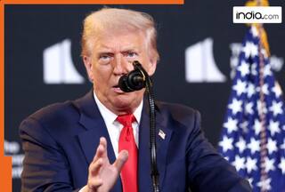 After Trump's Sunday ultimatum, Hamas makes BIG statement on 20-point Gaza peace plan, says, 'Negotiations..., Gaza Strip to...'